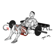 Hip Thrust