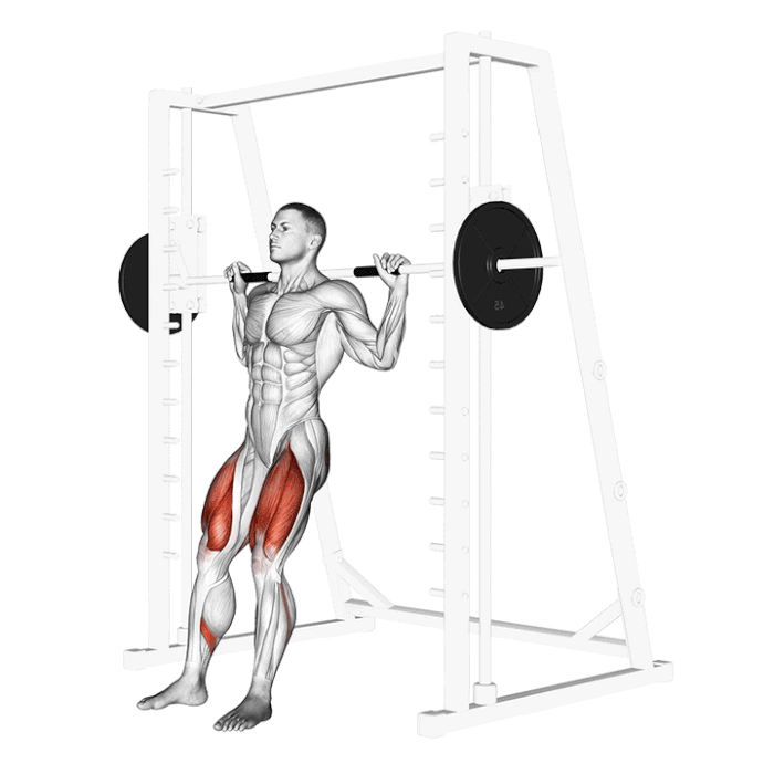 Smith Machine Squat